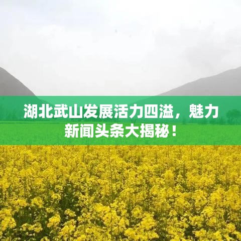 湖北武山发展活力四溢，魅力新闻头条大揭秘！