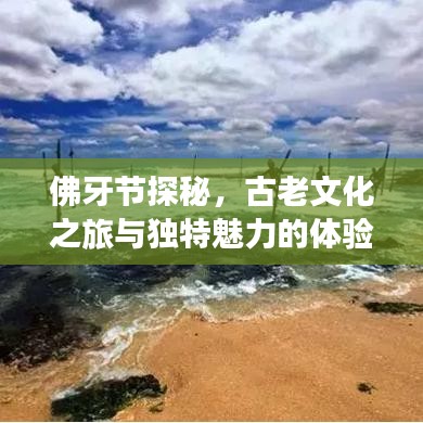 佛牙节探秘，古老文化之旅与独特魅力的体验