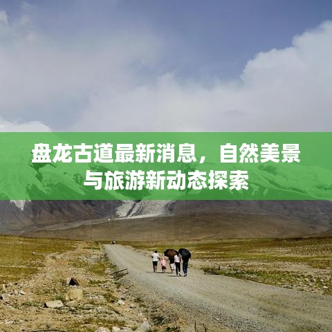 盘龙古道最新消息，自然美景与旅游新动态探索