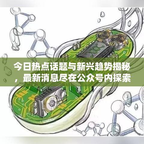 今日热点话题与新兴趋势揭秘，最新消息尽在公众号内探索