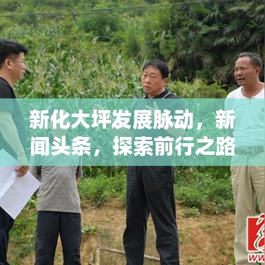新化大坪发展脉动，新闻头条，探索前行之路