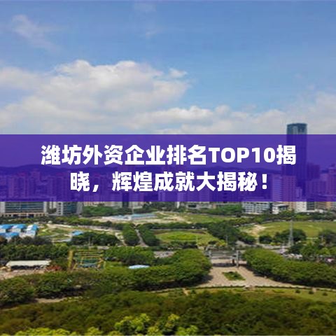 潍坊外资企业排名TOP10揭晓，辉煌成就大揭秘！