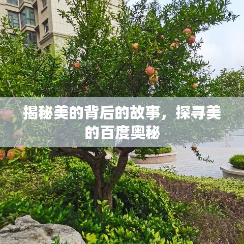 揭秘美的背后的故事，探寻美的百度奥秘
