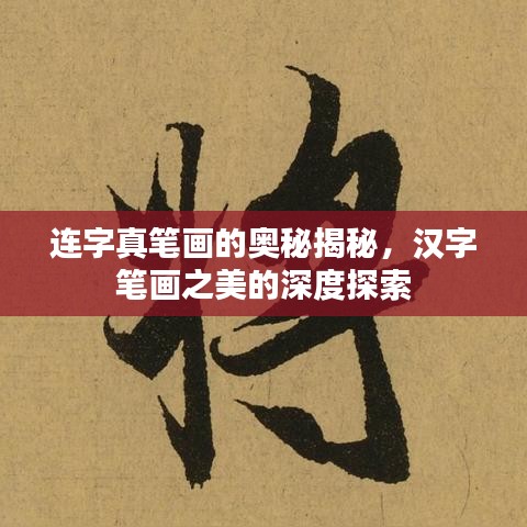 连字真笔画的奥秘揭秘，汉字笔画之美的深度探索