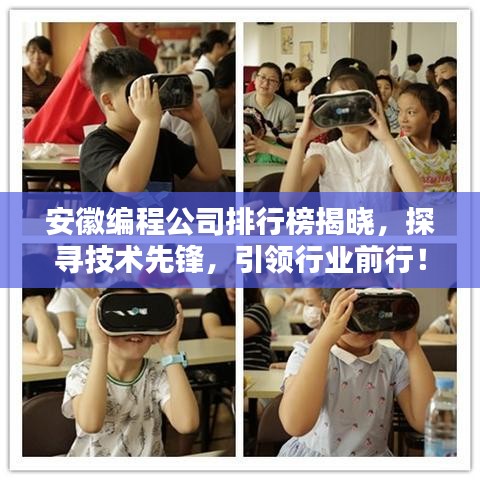 安徽编程公司排行榜揭晓，探寻技术先锋，引领行业前行！