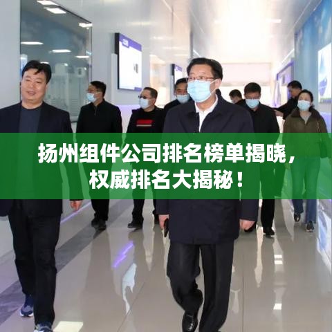 扬州组件公司排名榜单揭晓，权威排名大揭秘！