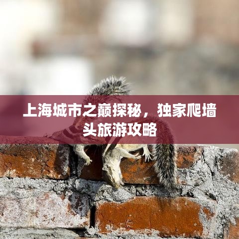 上海城市之巅探秘，独家爬墙头旅游攻略