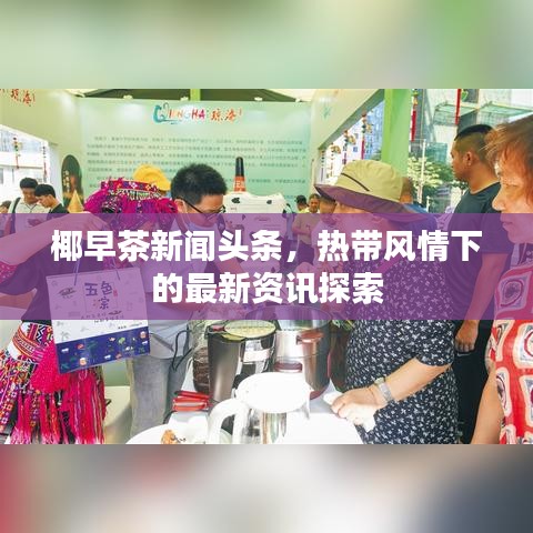 椰早茶新闻头条，热带风情下的最新资讯探索
