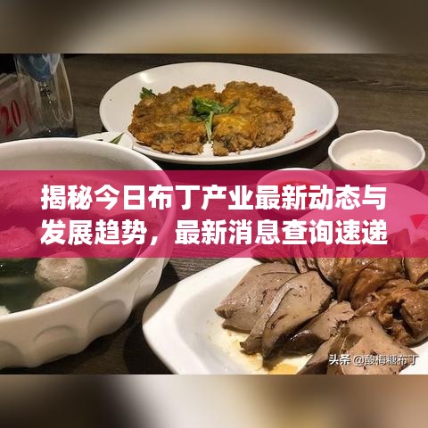 揭秘今日布丁产业最新动态与发展趋势，最新消息查询速递