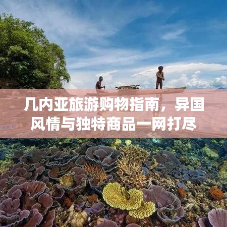 几内亚旅游购物指南，异国风情与独特商品一网打尽