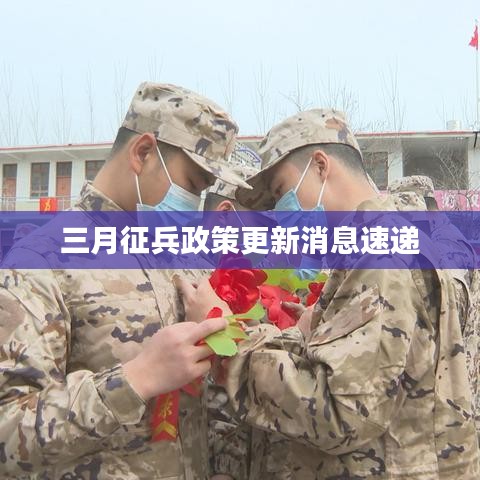 三月征兵政策更新消息速递