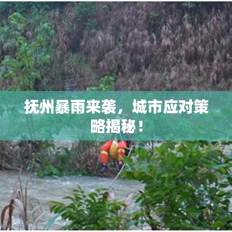抚州暴雨来袭，城市应对策略揭秘！