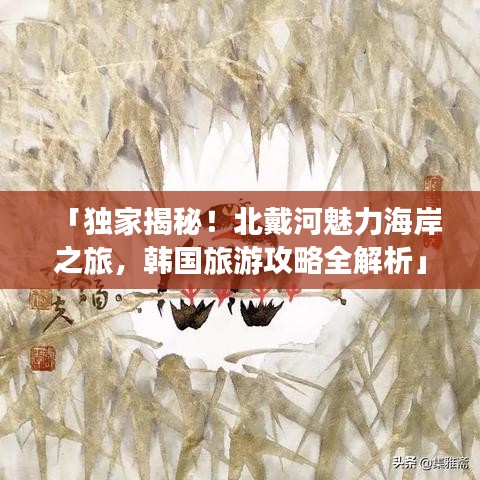 「独家揭秘！北戴河魅力海岸之旅，韩国旅游攻略全解析」