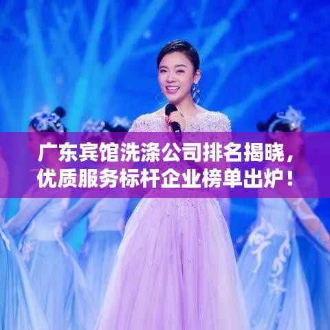 广东宾馆洗涤公司排名揭晓，优质服务标杆企业榜单出炉！