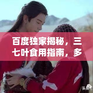 百度独家揭秘，三七叶食用指南，多种吃法任你选！