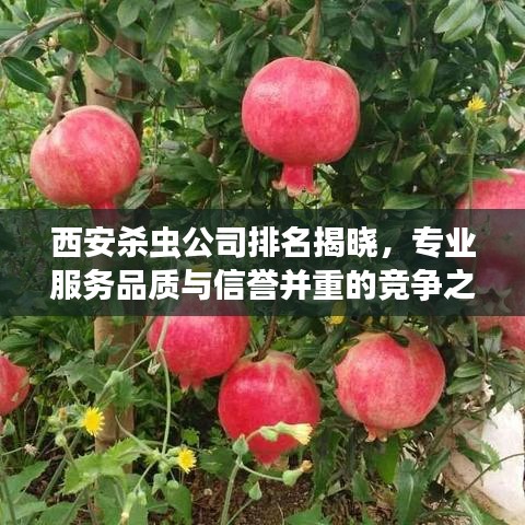 西安杀虫公司排名揭晓，专业服务品质与信誉并重的竞争之战