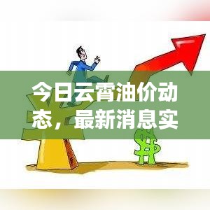 今日云霄油价动态，最新消息实时更新，油价查询洞悉走势