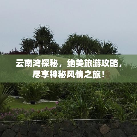 云南湾探秘，绝美旅游攻略，尽享神秘风情之旅！