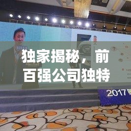 独家揭秘，前百强公司独特视角与深度洞察