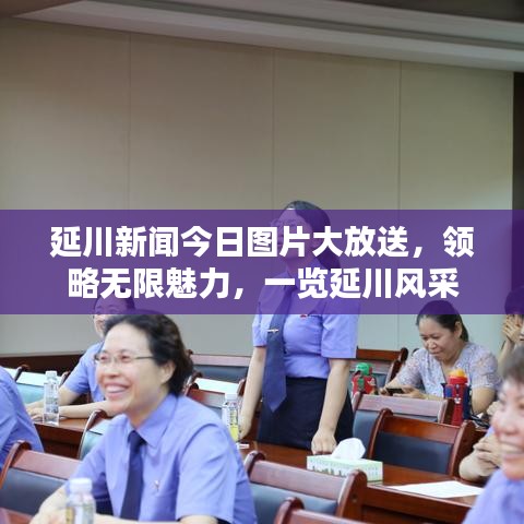 延川新闻今日图片大放送，领略无限魅力，一览延川风采