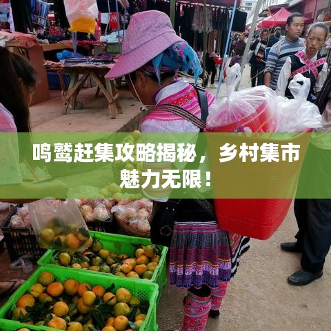 鸣鹫赶集攻略揭秘，乡村集市魅力无限！