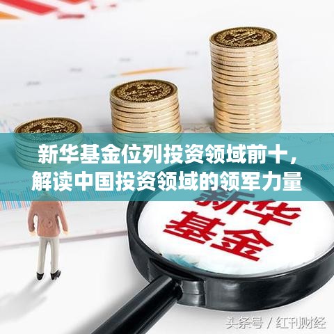 新华基金位列投资领域前十，解读中国投资领域的领军力量