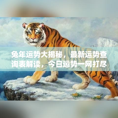 兔年运势大揭秘，最新运势查询表解读，今日运势一网打尽
