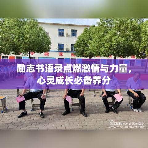励志书语录点燃激情与力量，心灵成长必备养分