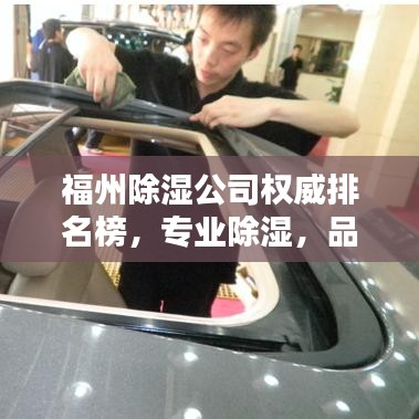 福州除湿公司权威排名榜，专业除湿，品质卓越之选