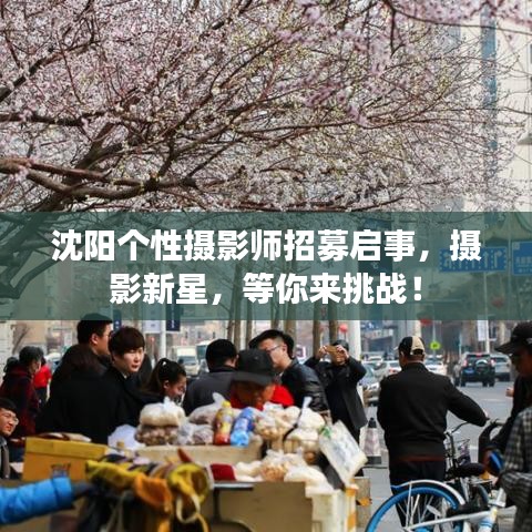 沈阳个性摄影师招募启事，摄影新星，等你来挑战！