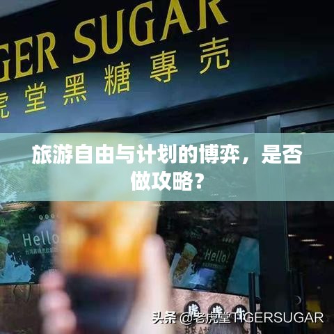 旅游自由与计划的博弈，是否做攻略？