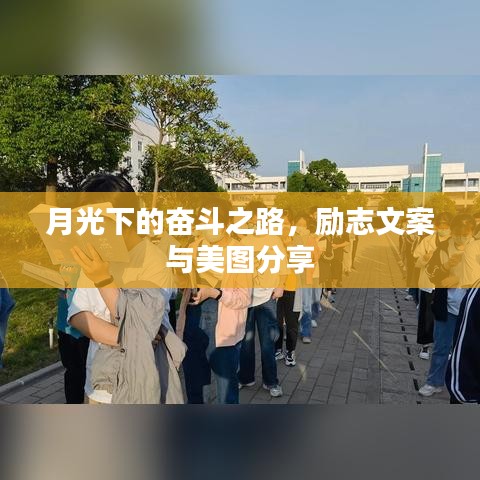 月光下的奋斗之路，励志文案与美图分享
