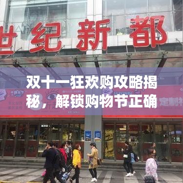 双十一狂欢购攻略揭秘，解锁购物节正确姿势！