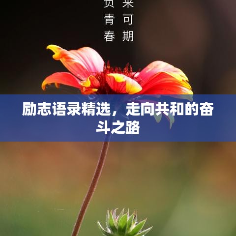 励志语录精选，走向共和的奋斗之路