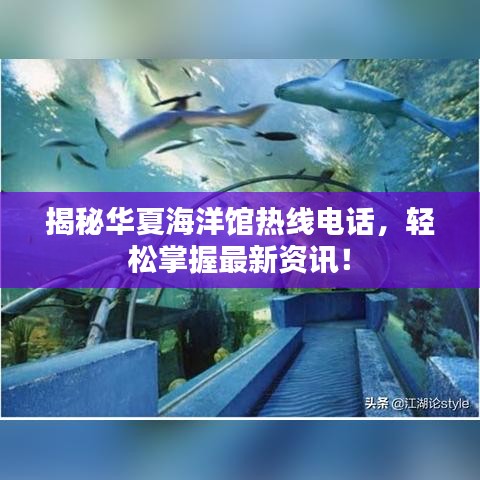 揭秘华夏海洋馆热线电话，轻松掌握最新资讯！