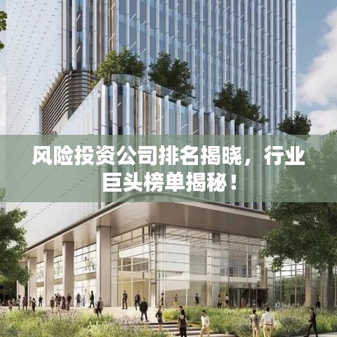 风险投资公司排名揭晓，行业巨头榜单揭秘！