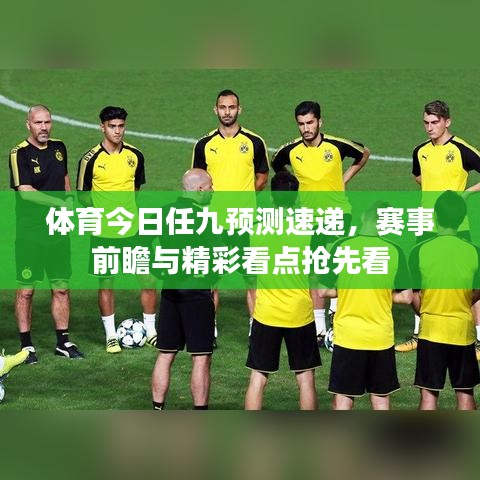 体育今日任九预测速递，赛事前瞻与精彩看点抢先看