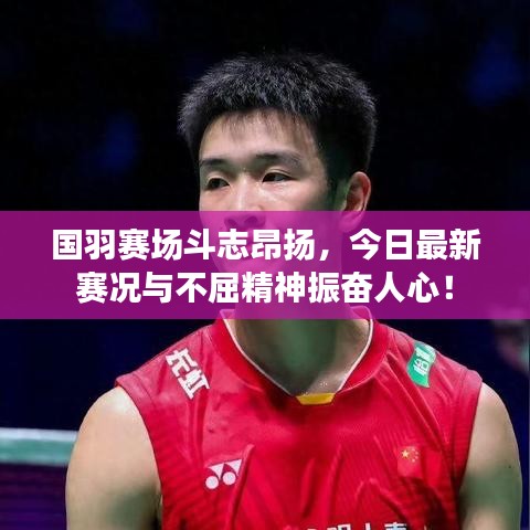 国羽赛场斗志昂扬，今日最新赛况与不屈精神振奋人心！