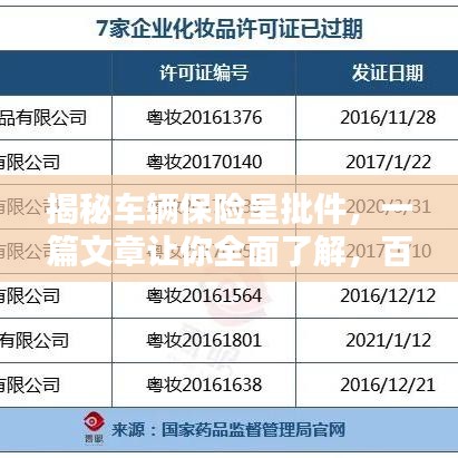 揭秘车辆保险呈批件，一篇文章让你全面了解，百度助你轻松查询！