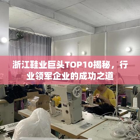 浙江鞋业巨头TOP10揭秘，行业领军企业的成功之道