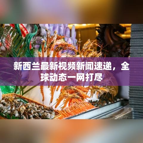 新西兰最新视频新闻速递，全球动态一网打尽