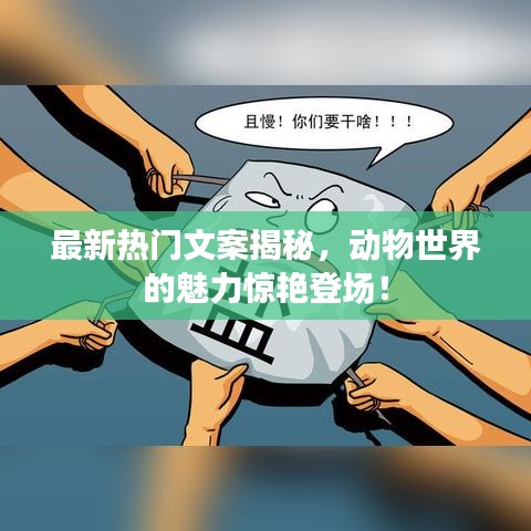 最新热门文案揭秘，动物世界的魅力惊艳登场！