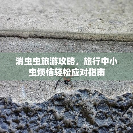 2025年4月 第15页