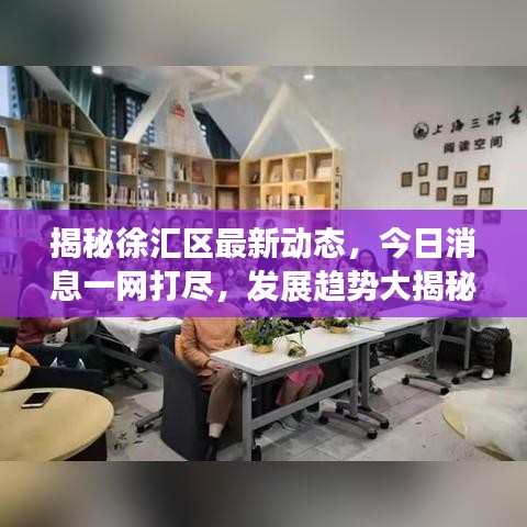 揭秘徐汇区最新动态，今日消息一网打尽，发展趋势大揭秘！
