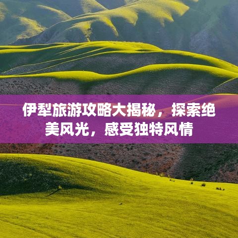 伊犁旅游攻略大揭秘，探索绝美风光，感受独特风情