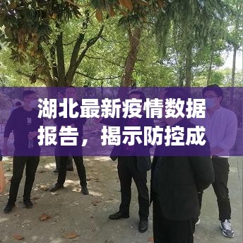 湖北最新疫情数据报告，揭示防控成效与持续努力的必要性