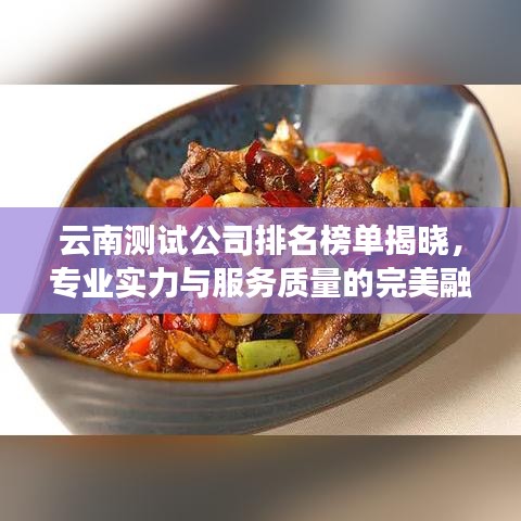云南测试公司排名榜单揭晓，专业实力与服务质量的完美融合​​