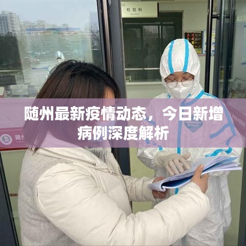 随州最新疫情动态，今日新增病例深度解析