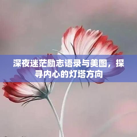 深夜迷茫励志语录与美图，探寻内心的灯塔方向