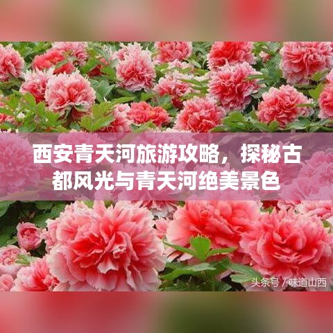 2025年5月1日 第5页